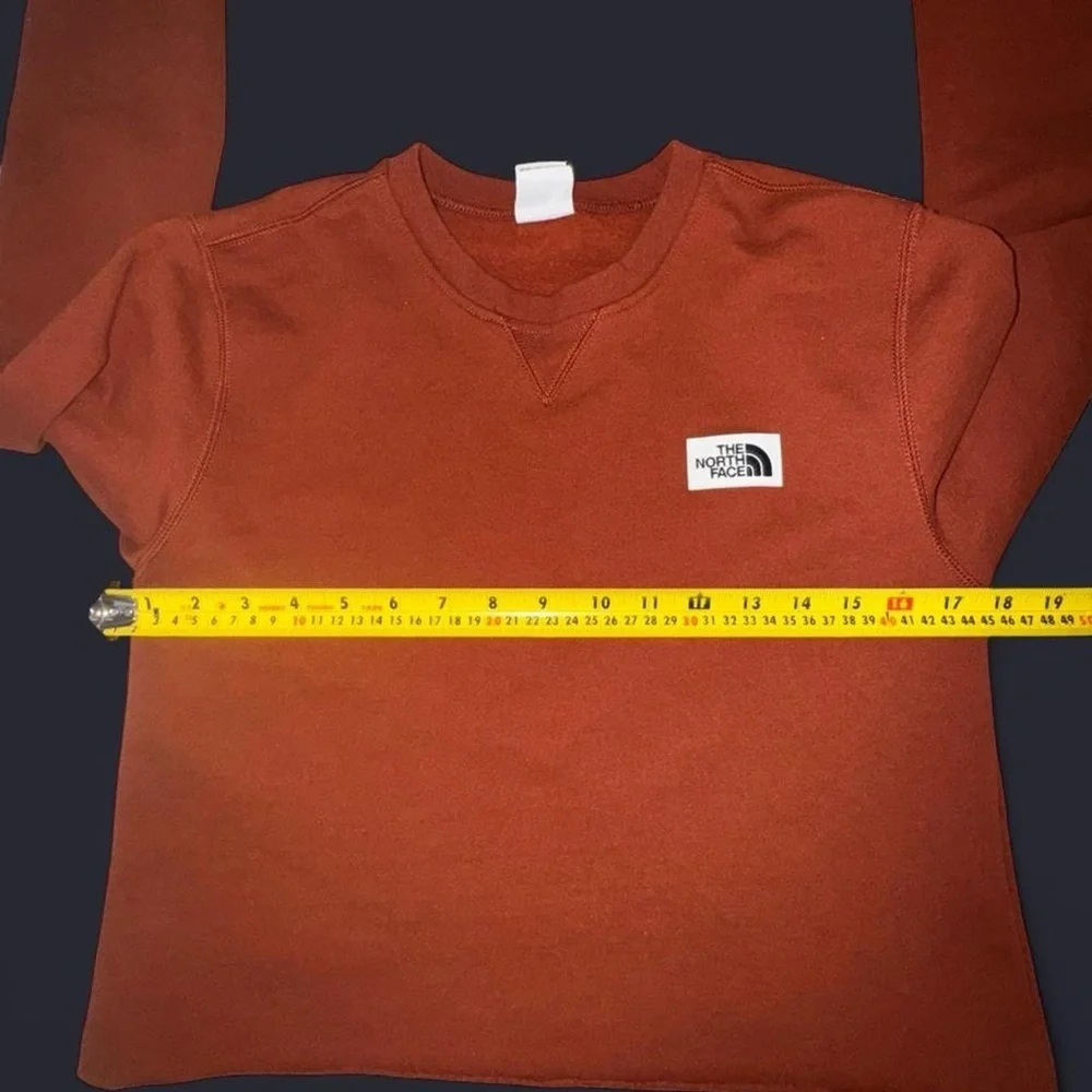 The North Face Gorpcore Men’s Cropped Crewneck Sweatshirt Brown